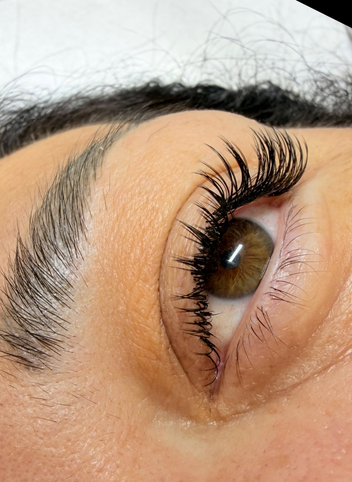 Extension ciglia